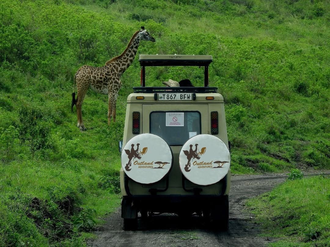 Game Drives